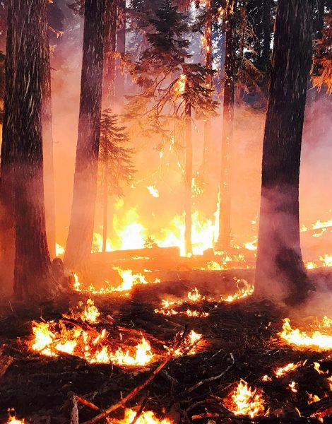 Blanket Creek Fire During Night Ops Date 2 August 2017 Source https-::inciweb.nwcg.gov:incident:photograph:5503:39:68765: Author US Forest Service Blanket Creek Fire During Night Ops Date 2 August 2017 Source https-::inciweb.nwcg.gov:incident:photograph:5503:39:68765: Author US Forest Service